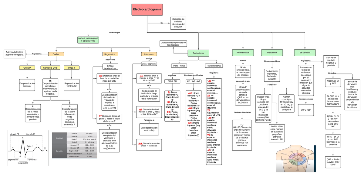 Mapa conceptual ECG - mapa conceptula de ECG resumido para estudiar -  Electrocardiograma Es El - Studocu