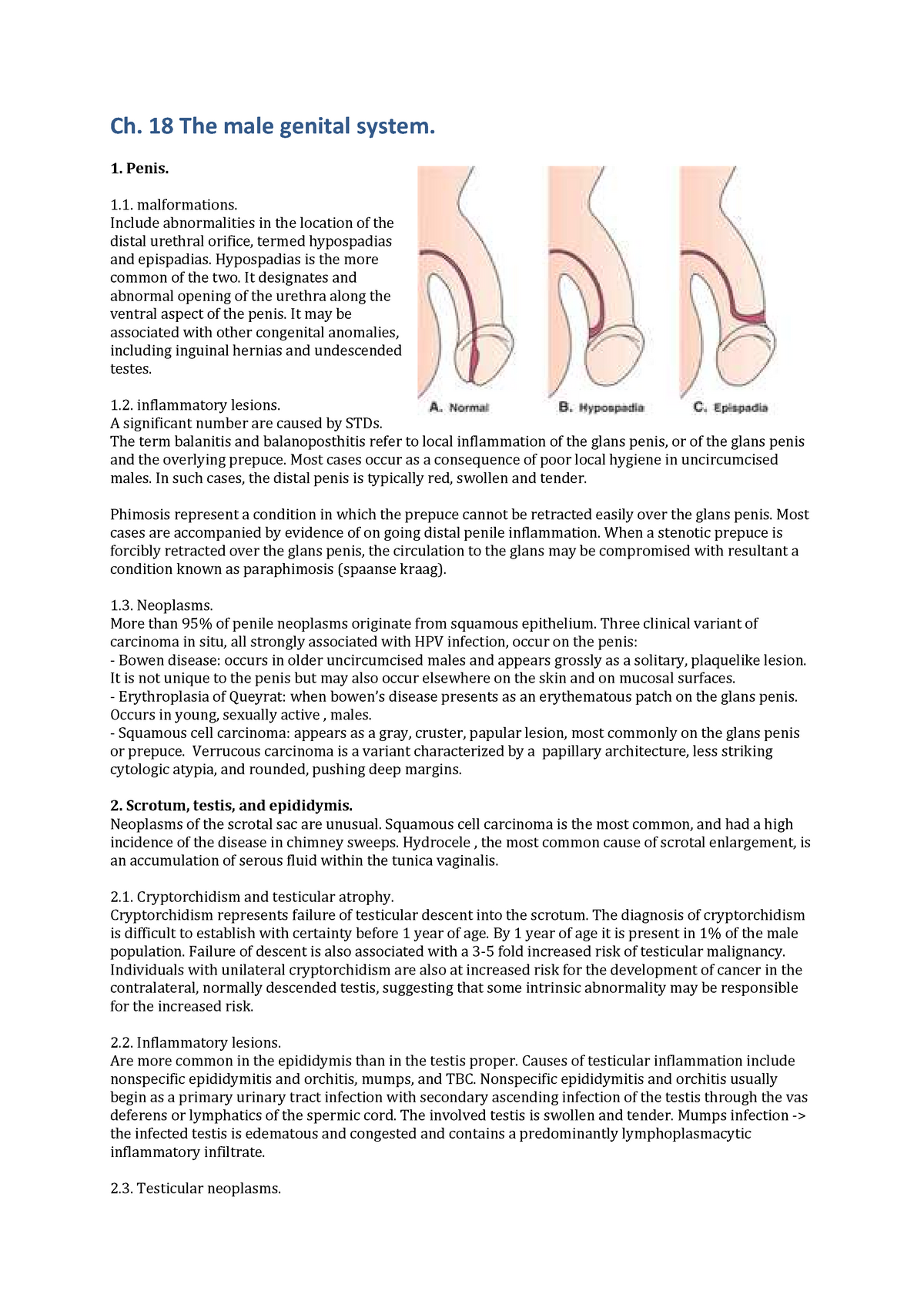 testicolul stang este lasat in jos penis mic | Forumul Medical ROmedic