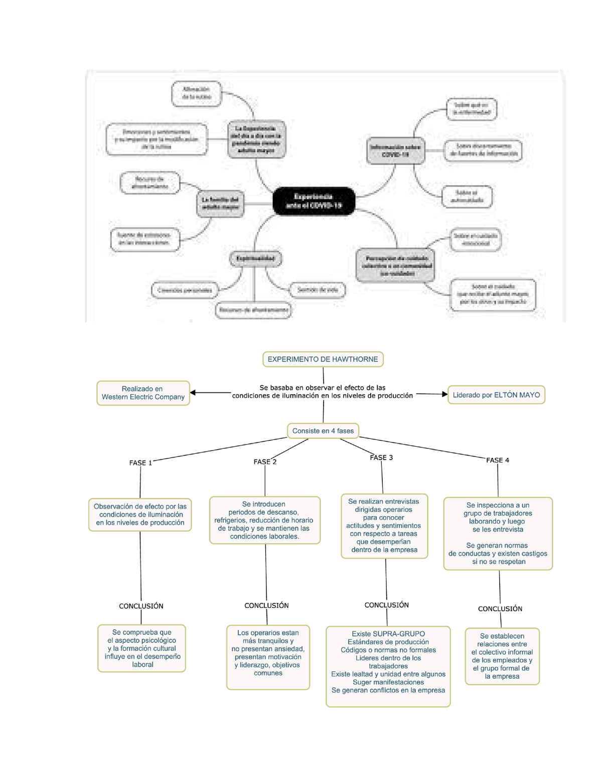 Esquema Doc1 - ASSAS - Studocu