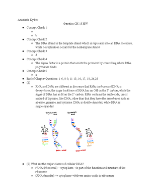 Genetics Formal Lab Report - Observing the Relationship amongst ...