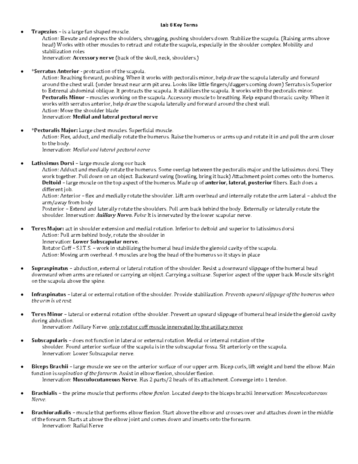 Lab 6 Key Terms Lab notes Lab 6 Key Terms Trapezius is a large