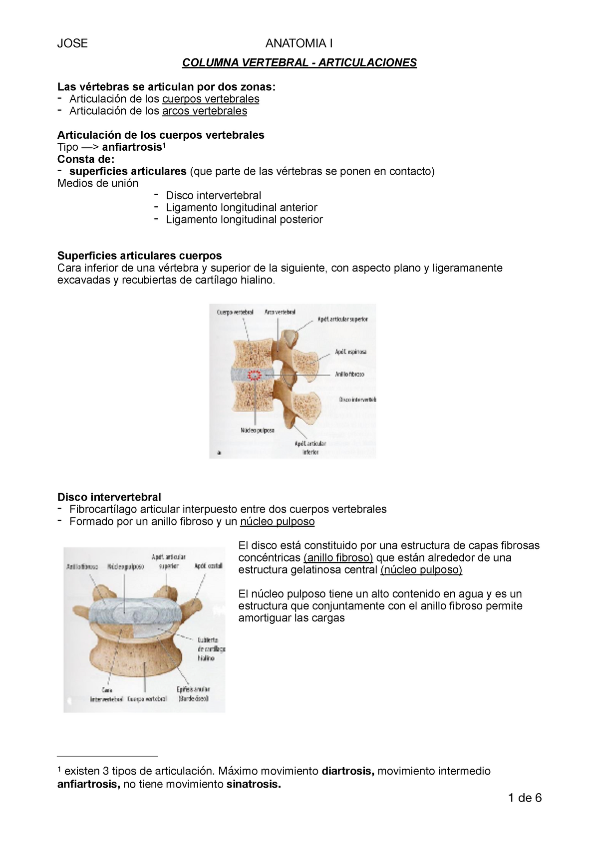 Cintura Escapular - Anatomia I