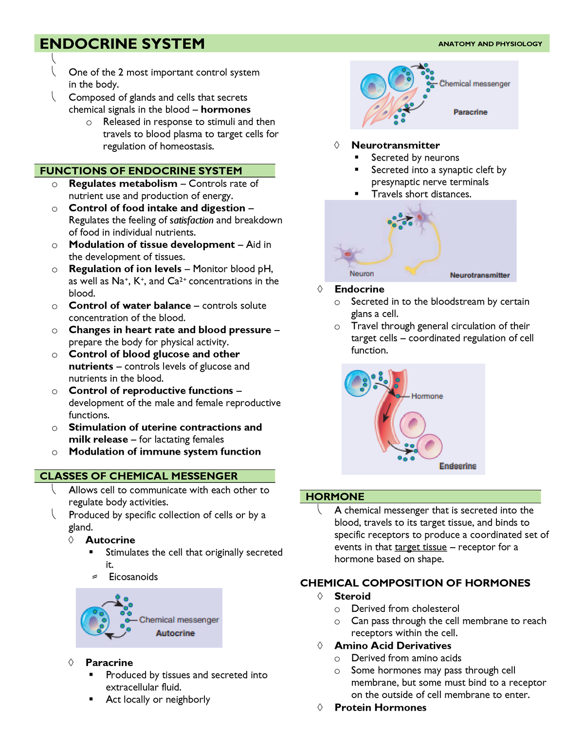 Endocrine System - ENDOCRINE SYSTEM ANATOMY AND PHYSIOLOGY One Of The 2 ...