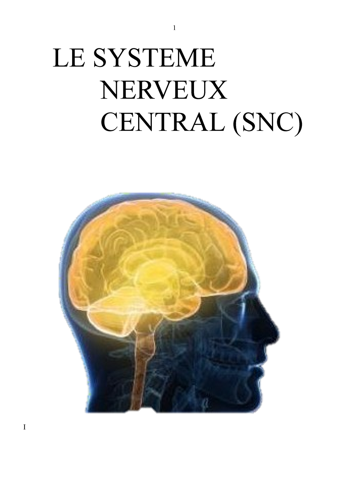 Cm1 Système Nerveux Central Le Systeme Nerveux Central Snc I I Ontogénèse Du Système 1395