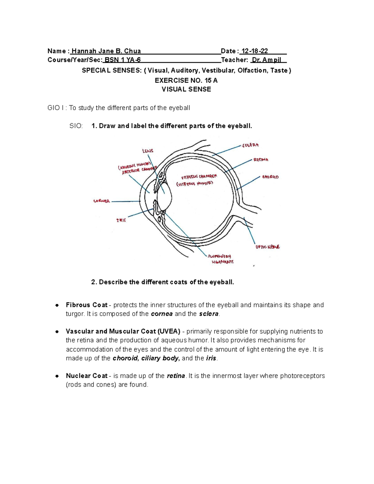 ANPH 111 Lab Exercise 15 Senses - Course/Year/Sec: BSN 1 YA-6 Teacher ...