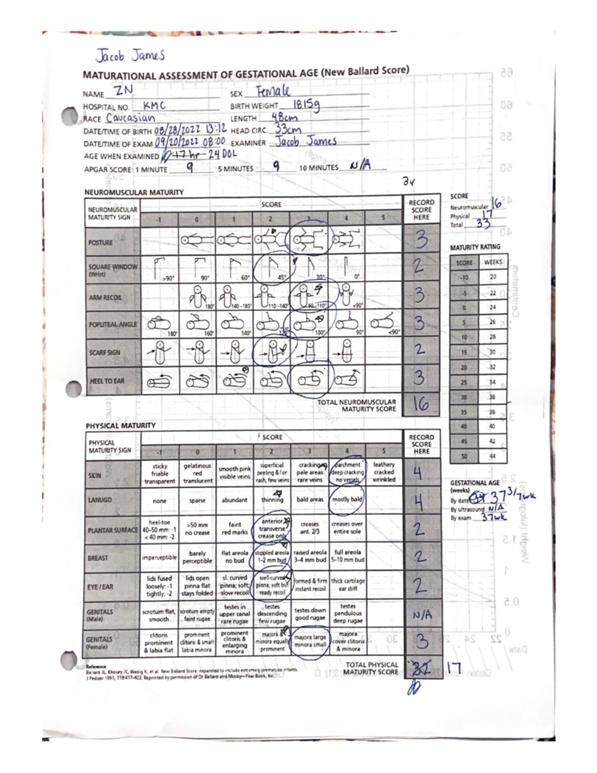 Ballard nicu - ... - Jacob James MATURATIONAL ASSESSMENT OF GESTATIONAL ...