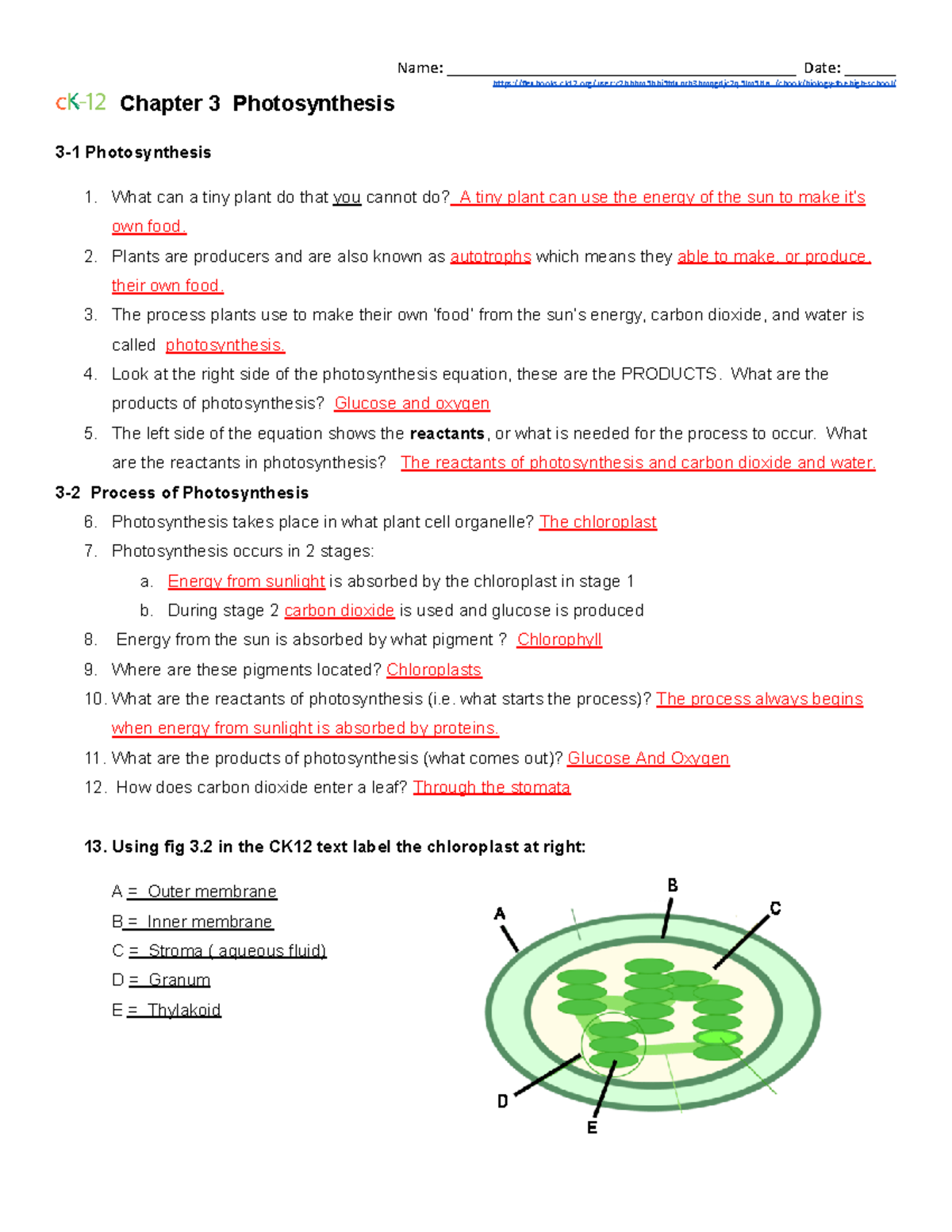 CK-12 Biology for High School