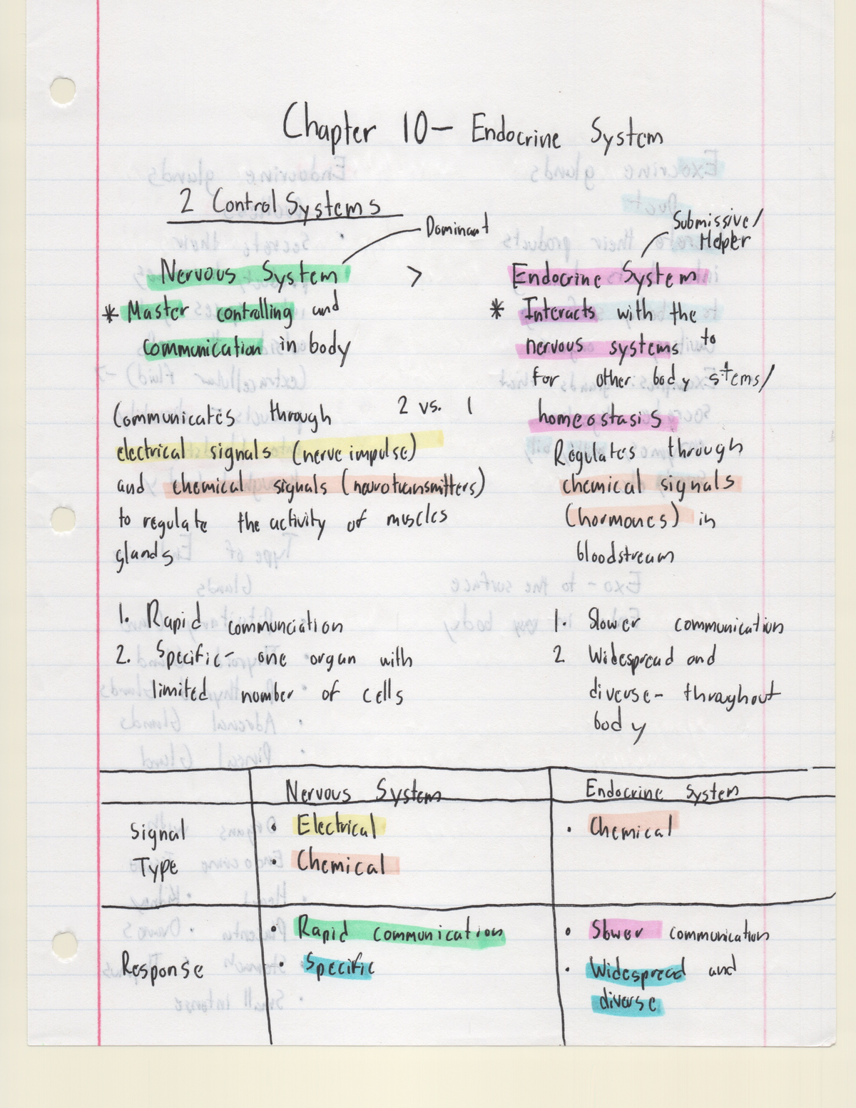 Chapter 10 Human Bio - BSC 1020 - Studocu