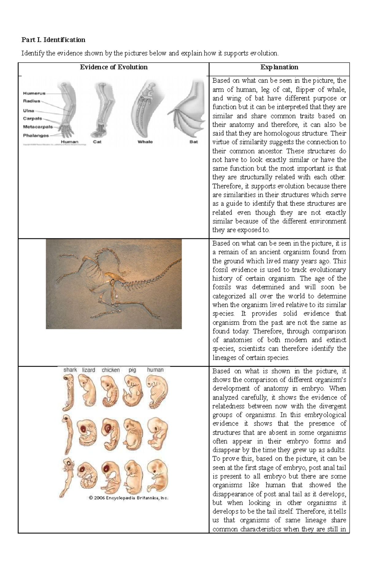 Evolution - This is more on biology - Part I. Identification Identify ...