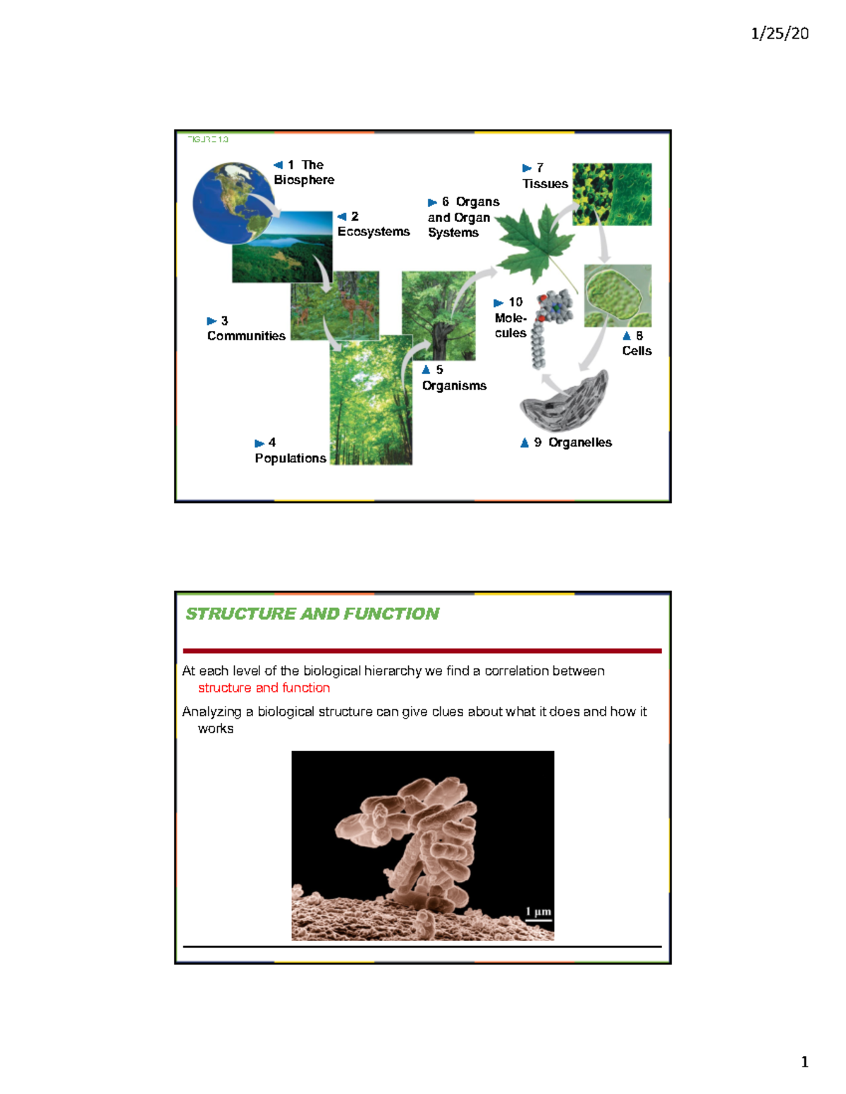 Chapter 1 Introduction to biosciences - BIO 1404 - UTSA - Studocu
