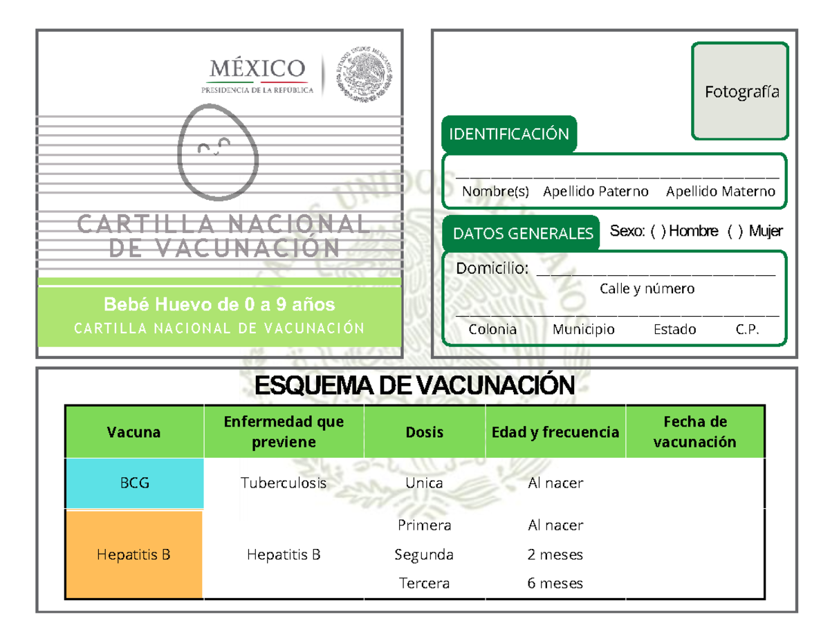 Huevito Cartilla De Vacunacion Para Bebe Huevo