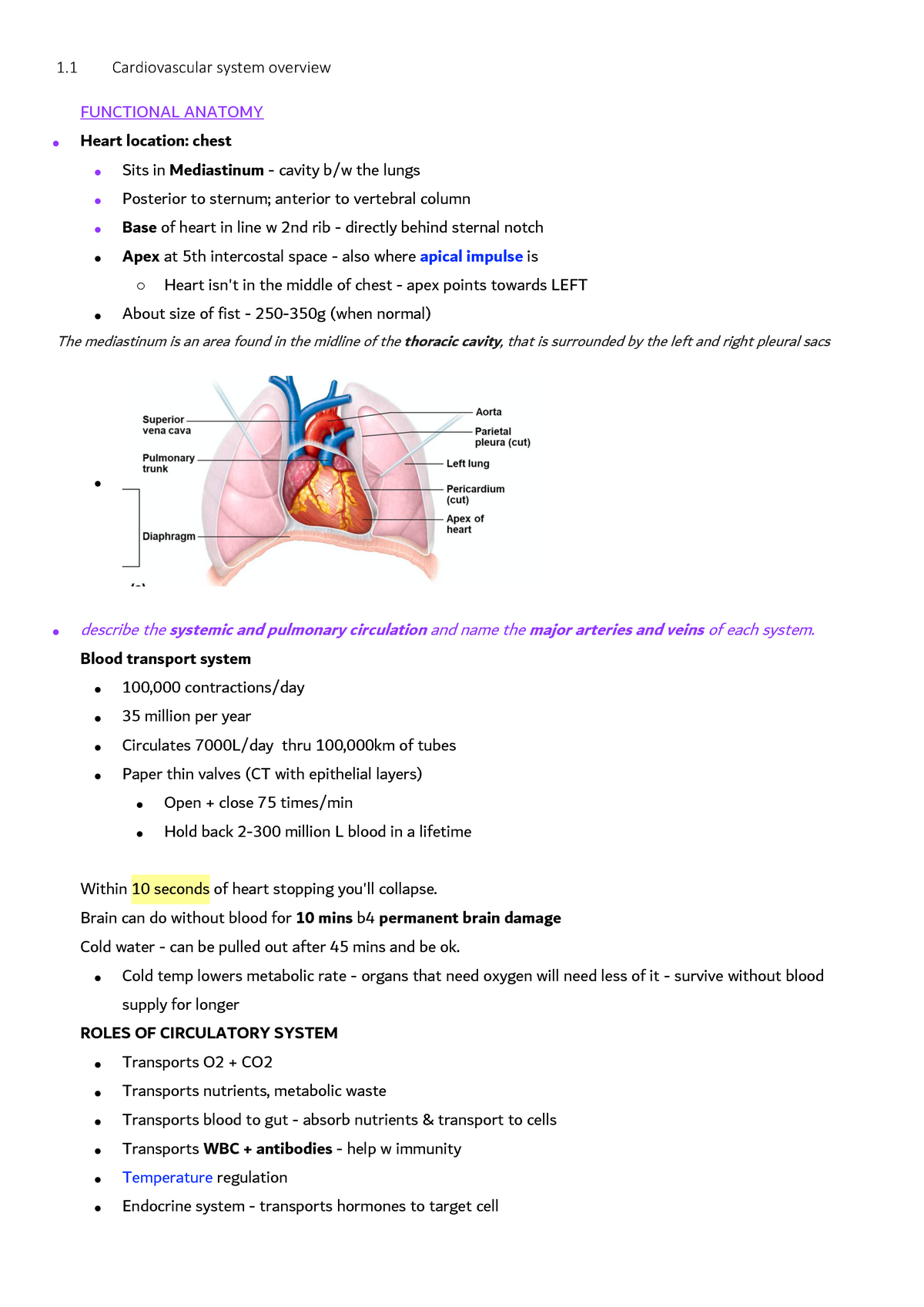 Anatomy:Physiology II Notes - 1 Cardiovascular system overview ...