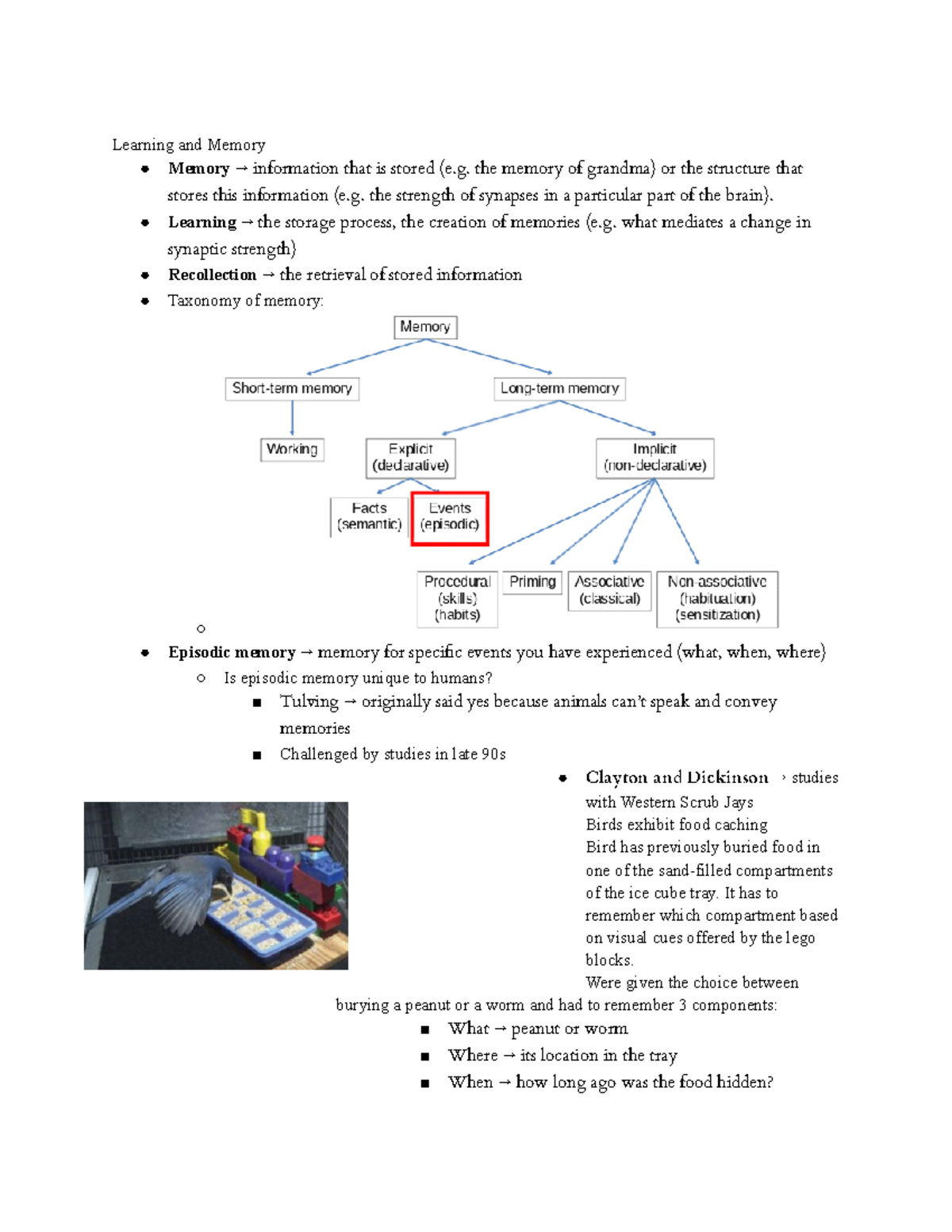 PSYC314 Study Guide 3 - Learning and Memory Memory → information that ...