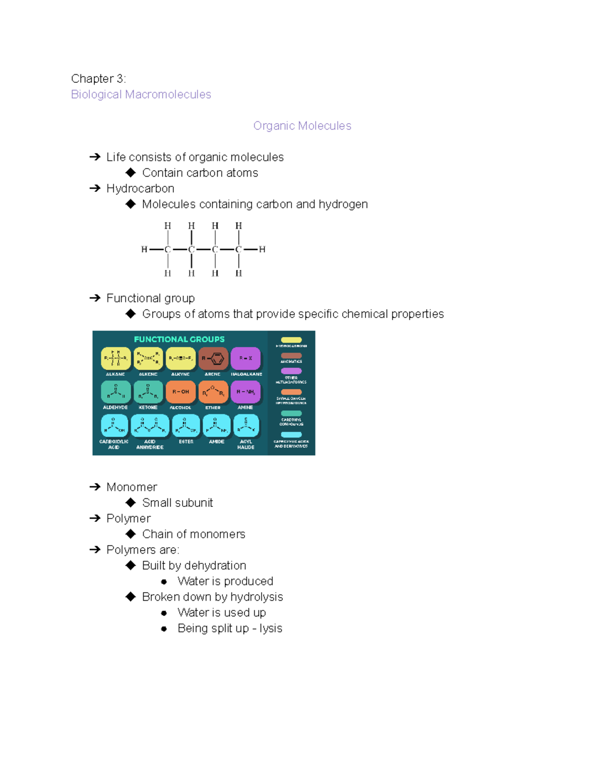 Chapter 3 Biological Macromolecules - Chapter 3: Biological ...