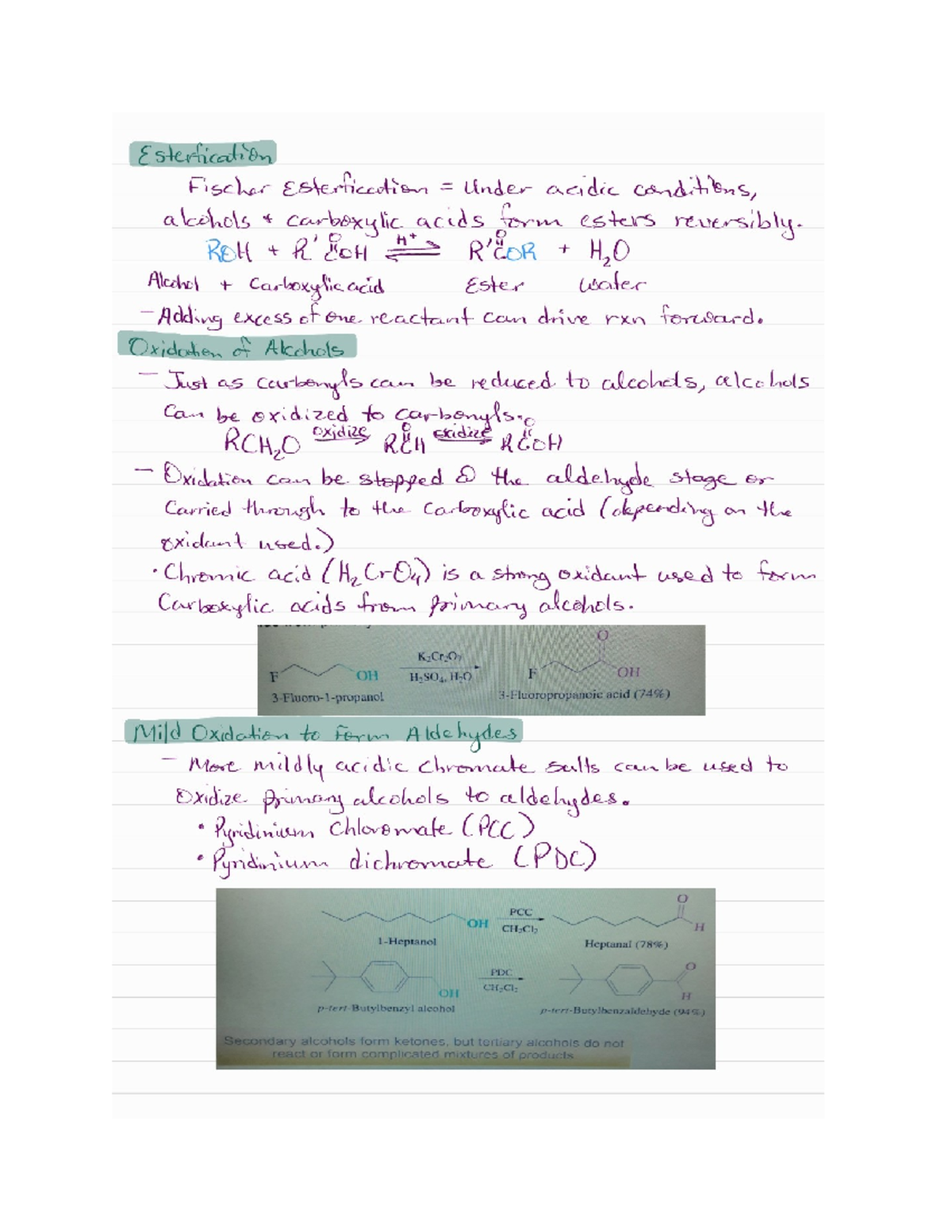Esterification What is esterification and what does an ester consists