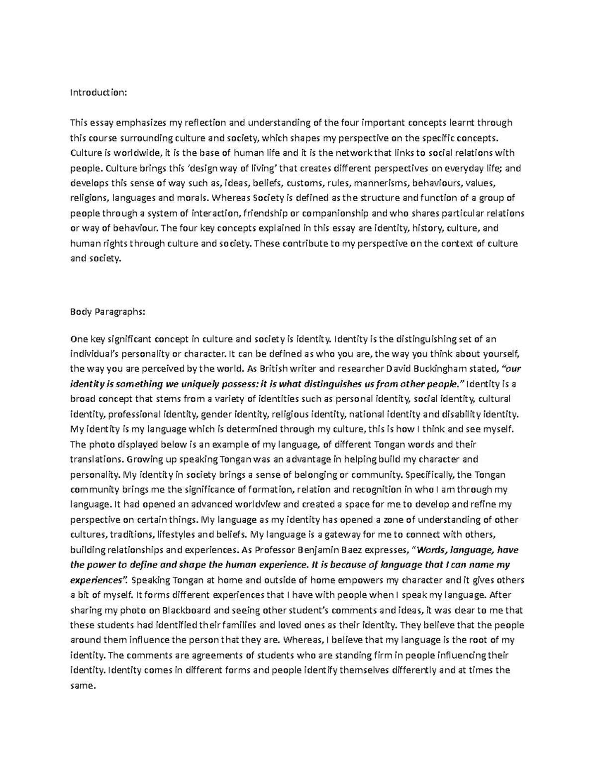 Culture & Society - Mandatory Essay - Introduction: This essay ...