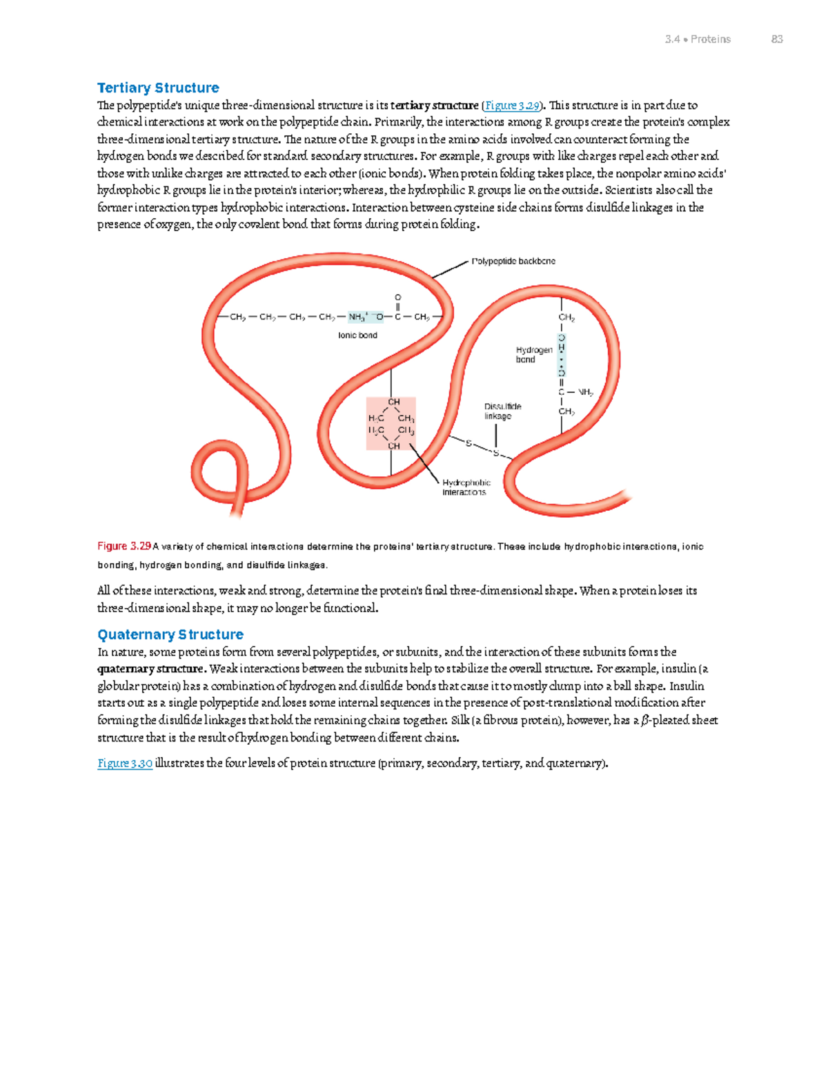 Chapter 3 Biological Macromolecules Part 7 - Tertiary Structure The ...
