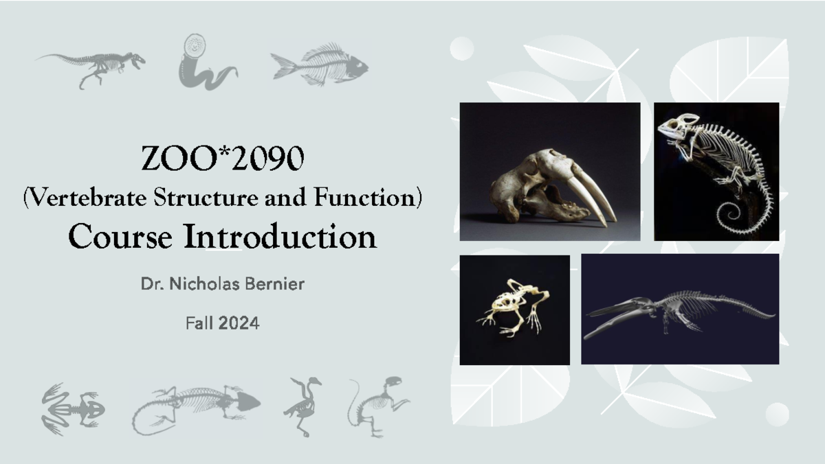 Lecture 1 - Introduction and Origin of Chordates - ZOO* (Vertebrate ...