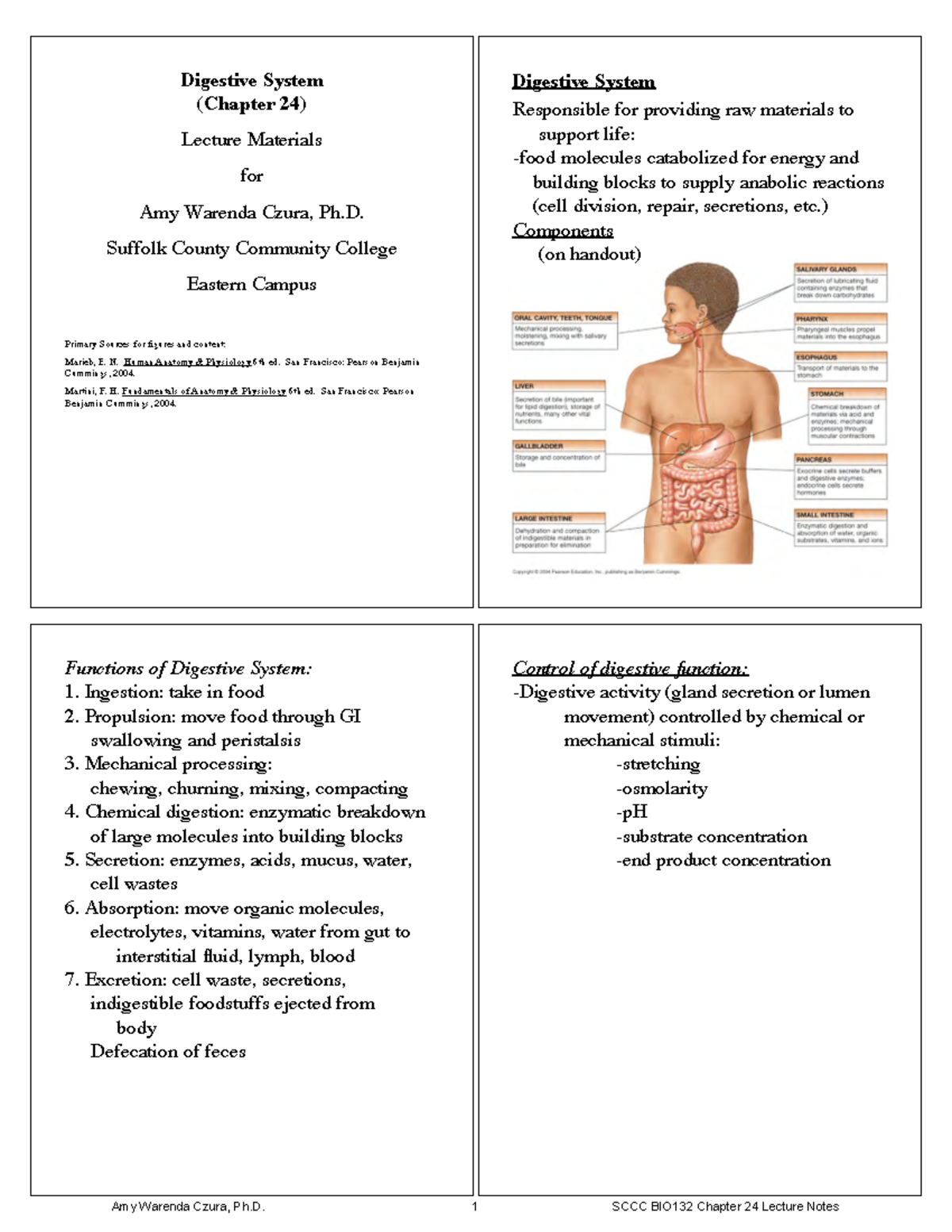 BIO132Chapter 24Notes Digestive - Digestive System (Chapter 24 ...