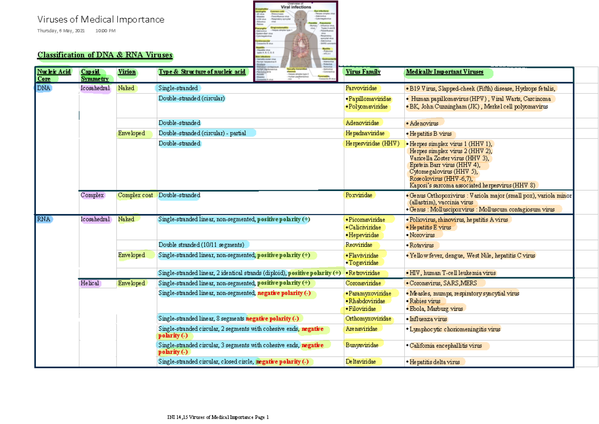 (CL14,15) Viruses of Medical Importance - Classification of DNA & RNA ...