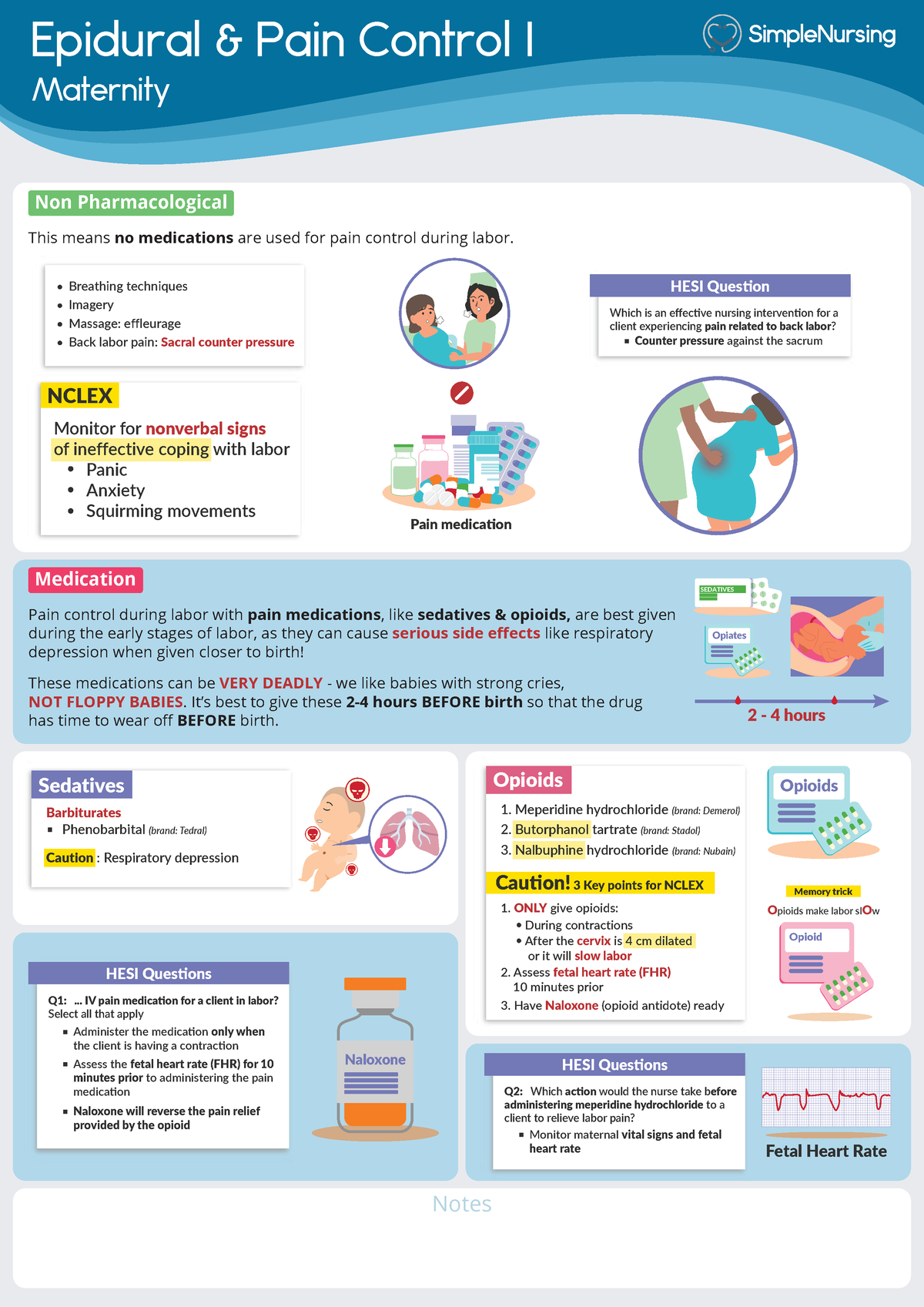 1 - Labor Pain Control - Simple Nursing L&D - Epidural & Pain Control I ...