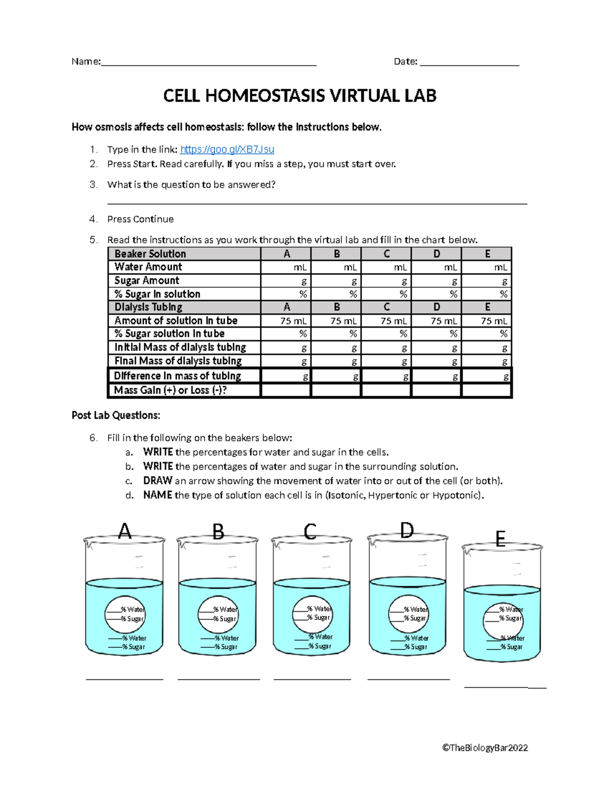 Cell Homeostasis Virtual Lab Student Copy - A B C D E Name: Date: CELL  HOMEOSTASIS VIRTUAL LAB How - Studocu