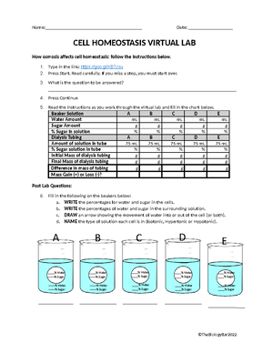 Cell Osmosis Virtual Lab Worksheet - Name: Israel Francois Cell Osmosis ...