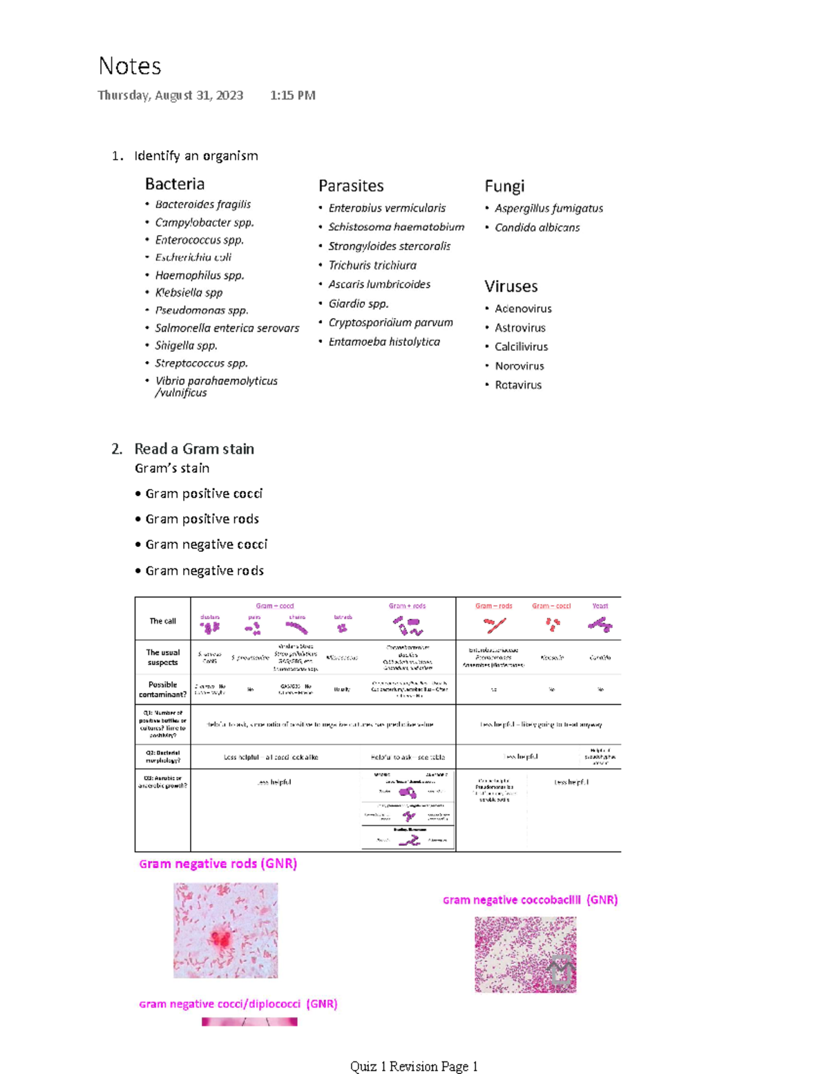 Quiz 1 notes - 1. Identify an organism 2. Read a Gram stain Gram’s ...