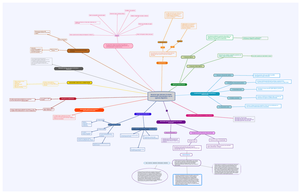 Mapa Conceptual Factores Que Afectan El Estado Nutricional Relacionados ...