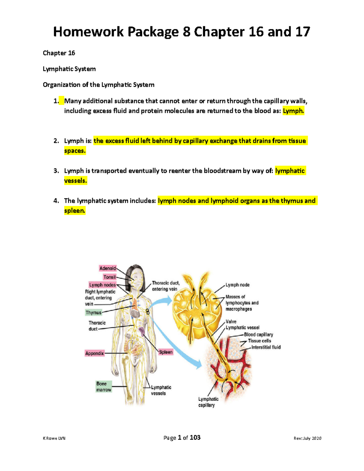 Homework Package 8 Chapters 16 AND 17 Completed - Chapter 16 Lymphatic ...