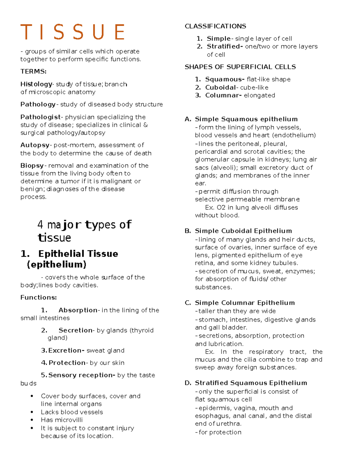 Tissue - T I S S U E groups of similar cells which operate together to ...