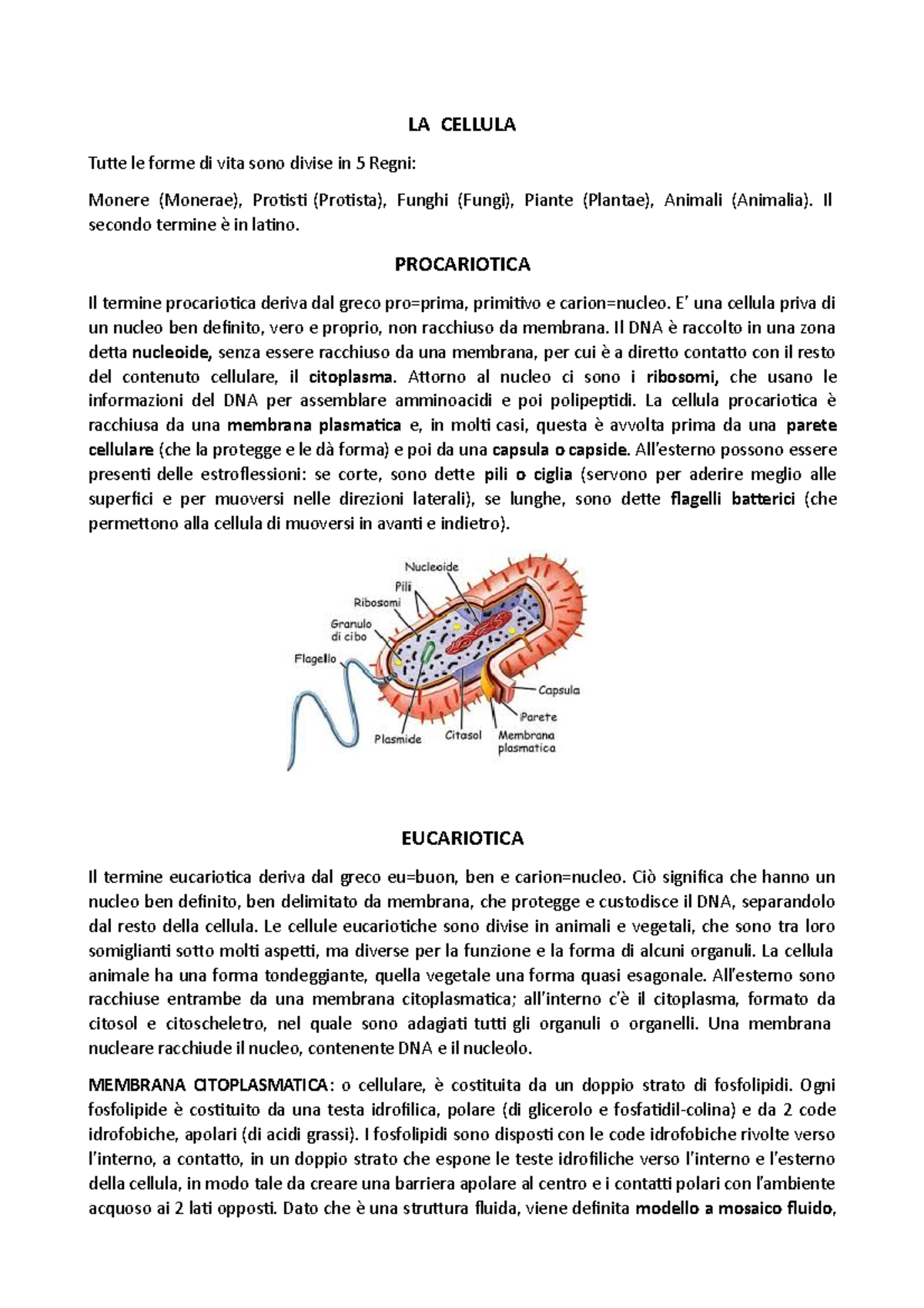 LA Cellula - LA CELLULA Tutte le forme di vita sono divise in 5 Regni ...