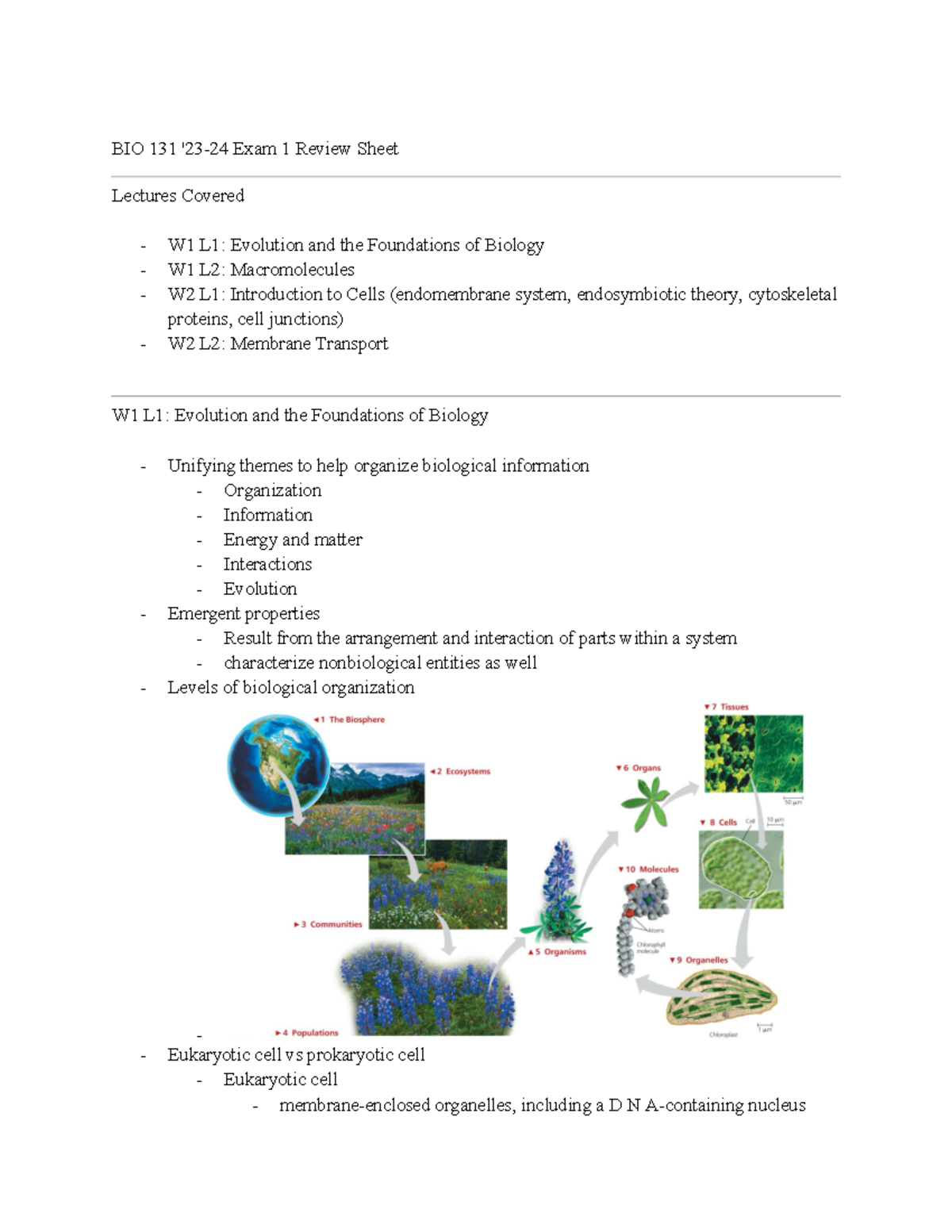 BIO 131 '23-24 Exam 1 Review Sheet - Studocu
