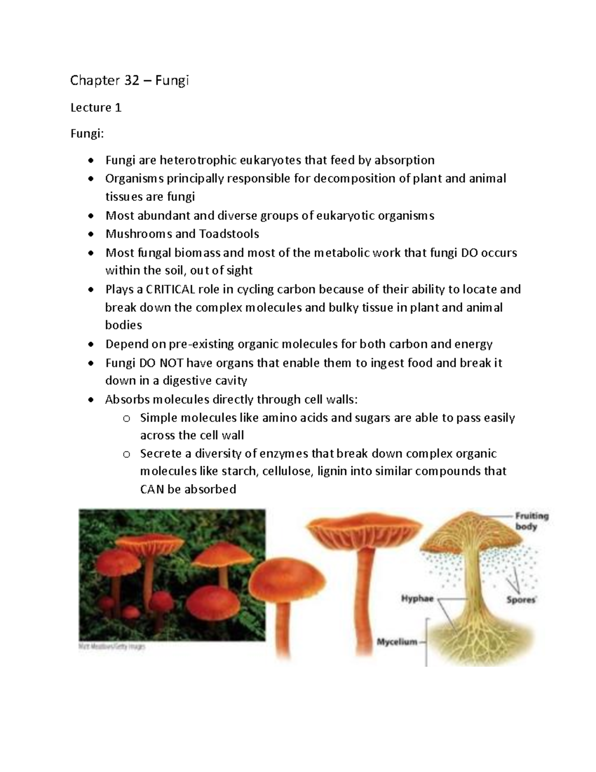 Chapter 32 Fungi - Chapter 32 – Fungi Lecture 1 Fungi: Fungi are ...