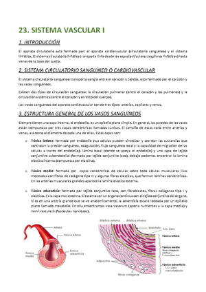 Biología Tema 5 - Resumen Biología Celular E Histología - Tema 5 Re# ...