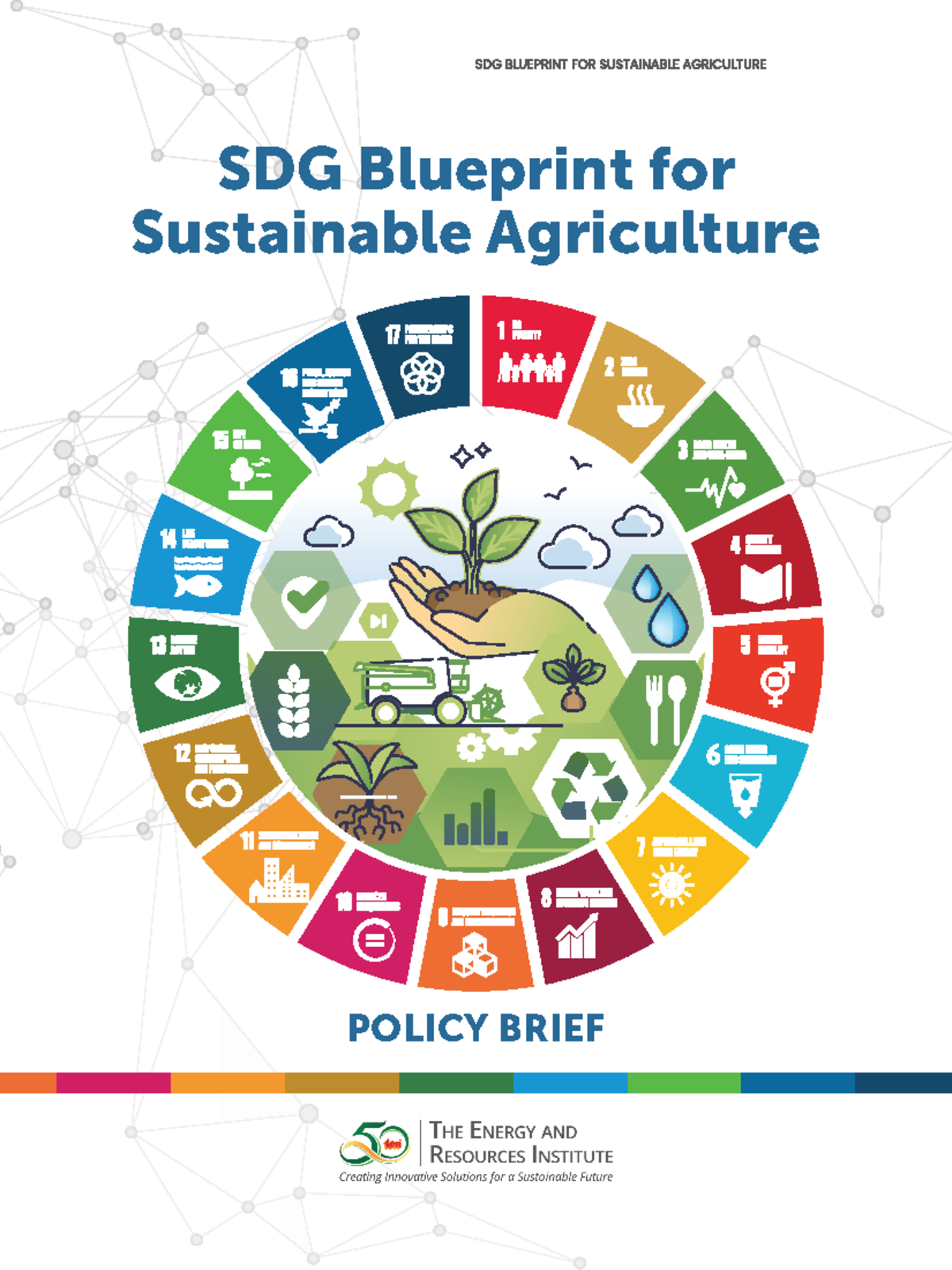 SDG Blueprint Summary 2024 - SDG Blueprint for Sustainable Agriculture ...