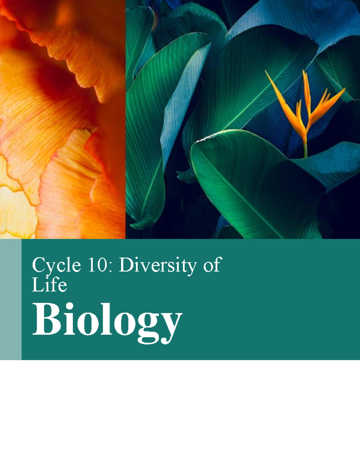 diversity-of-life-kbjnok-jihouivguviyuohipojbk-n-cycle-10