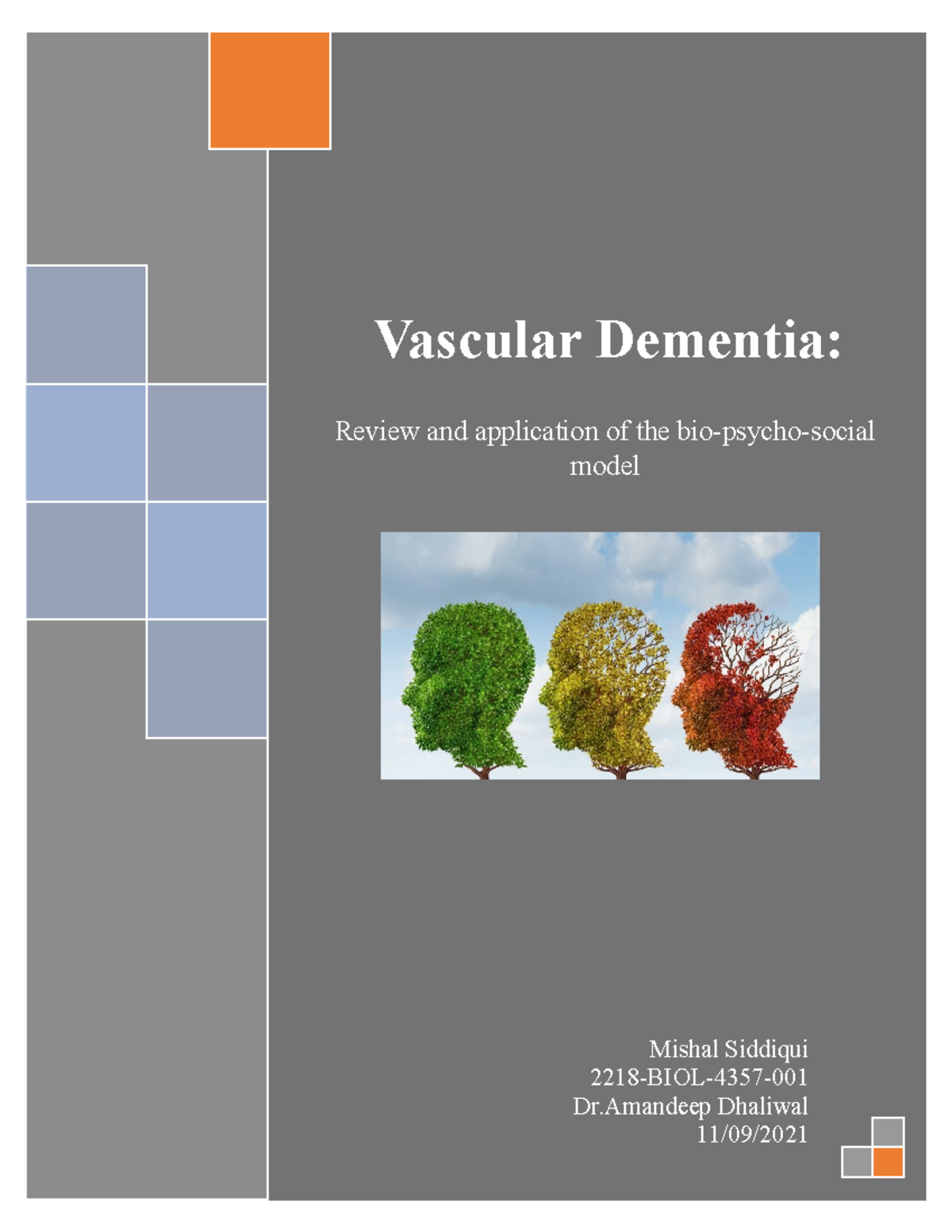 Vascular Dementia This is a Research paper for Dr.Dhaliwal's Health