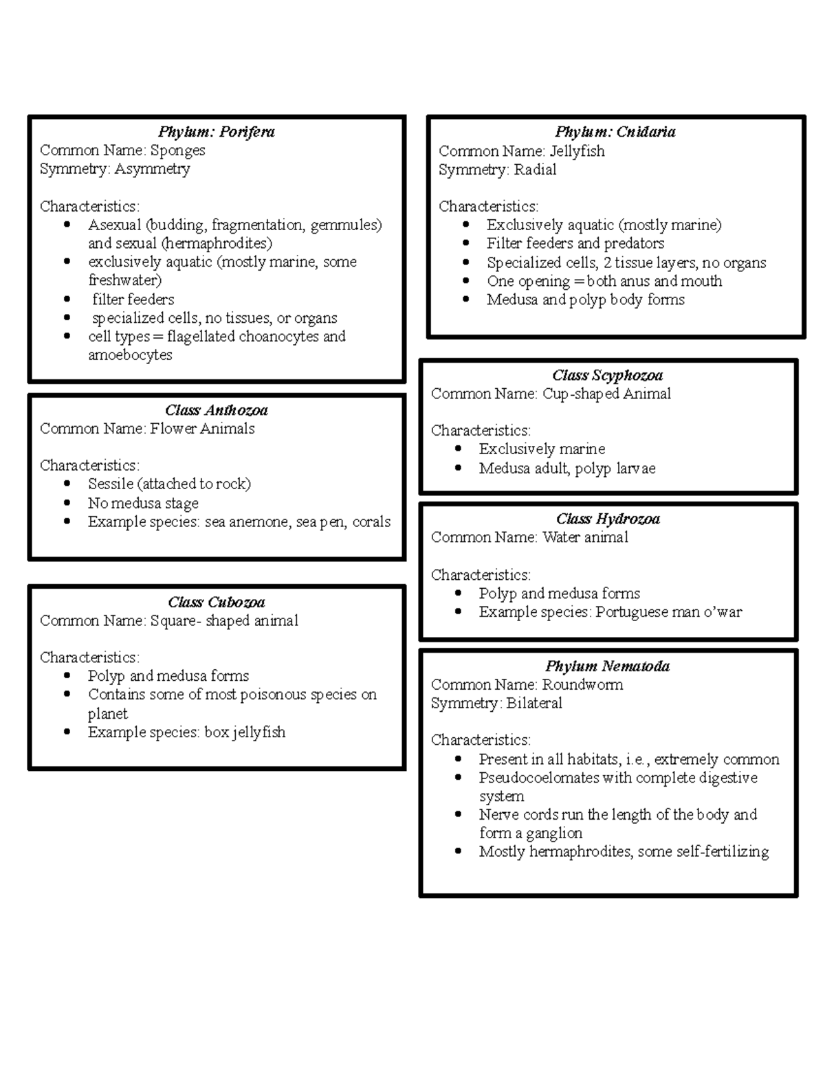 Animal Diversity f Phylum Porifera Common Name Sponges Symmetry