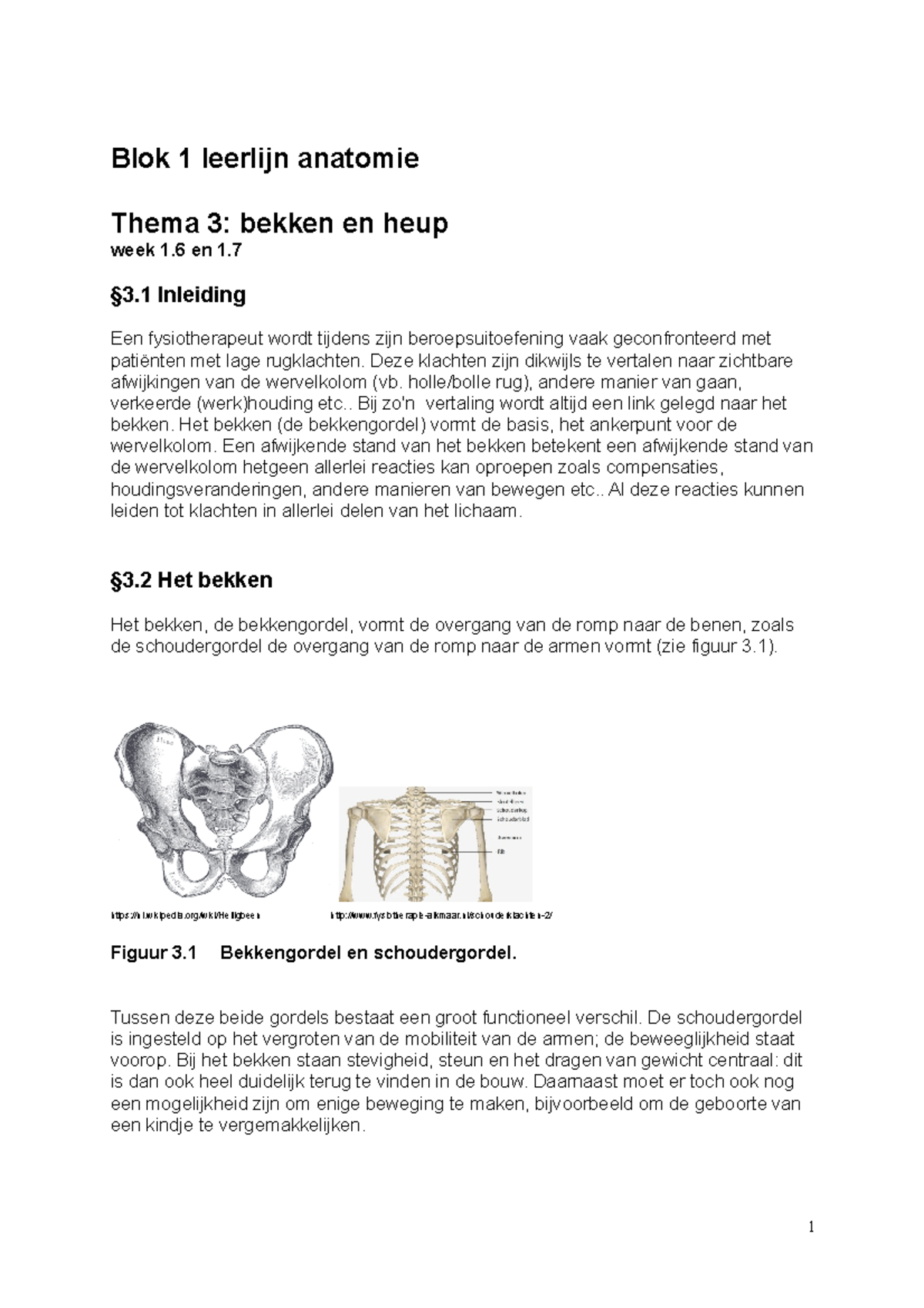 Zelfstudie Opdrachten Bekken-heup Week 1.6 En 1.7 - Blok 1 Leerlijn ...