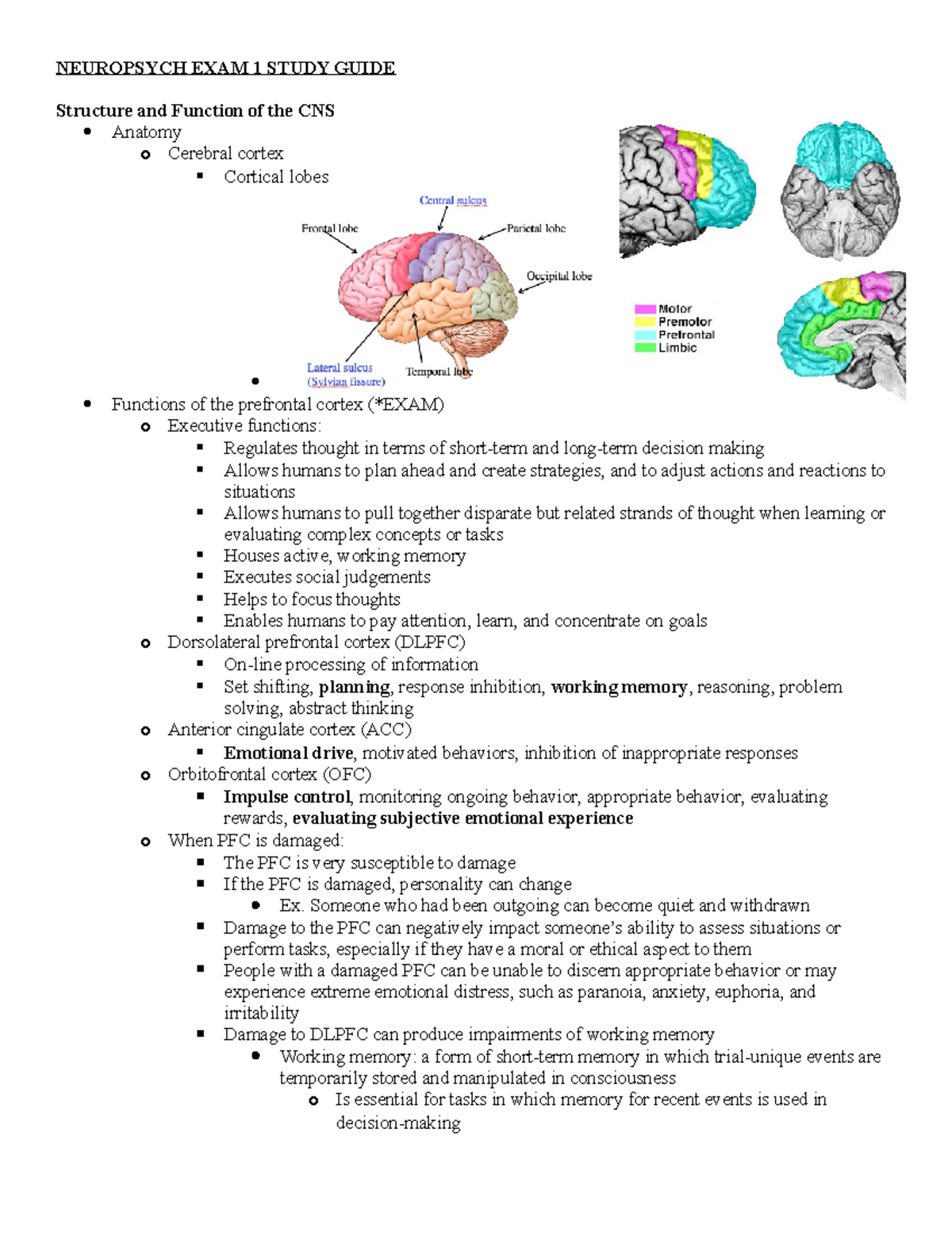 Neuropsych EXAM 1 Study Guide - NEUROPSYCH EXAM 1 STUDY GUIDE Structure ...