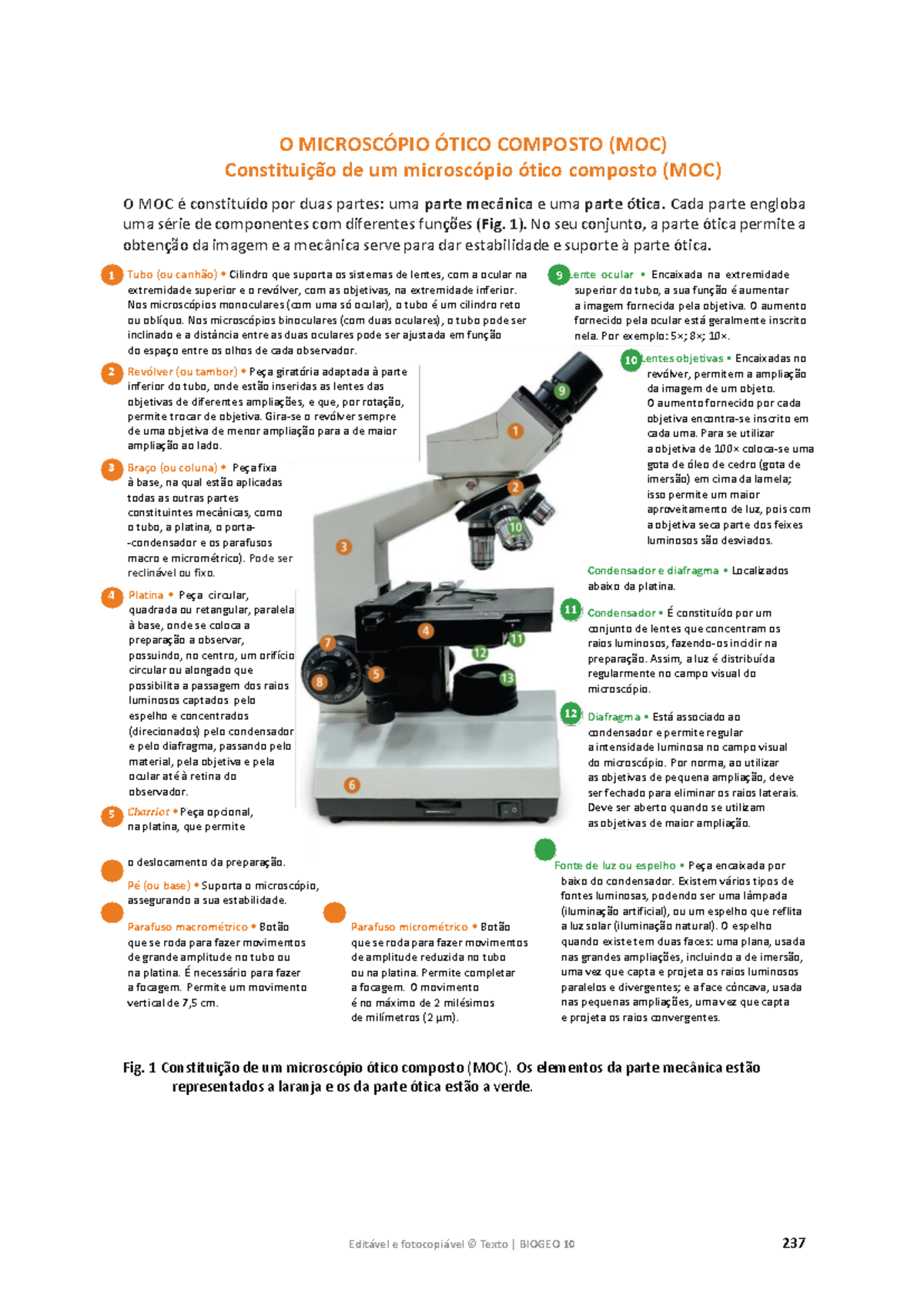 Informação O Microscópio Ótico Composto - Editável e fotocopiável ...