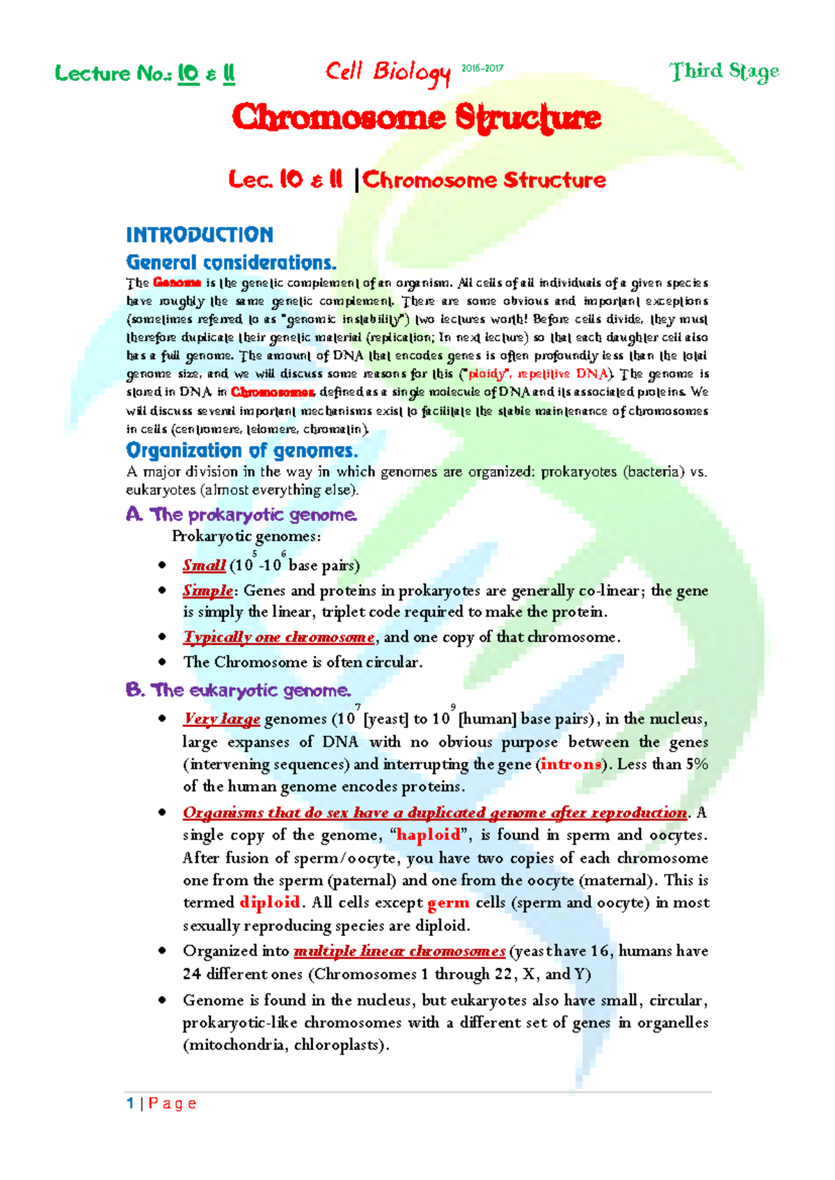 Chromosomal structure factsheet - Chromosome Structure Lec. 10 & 11 ...