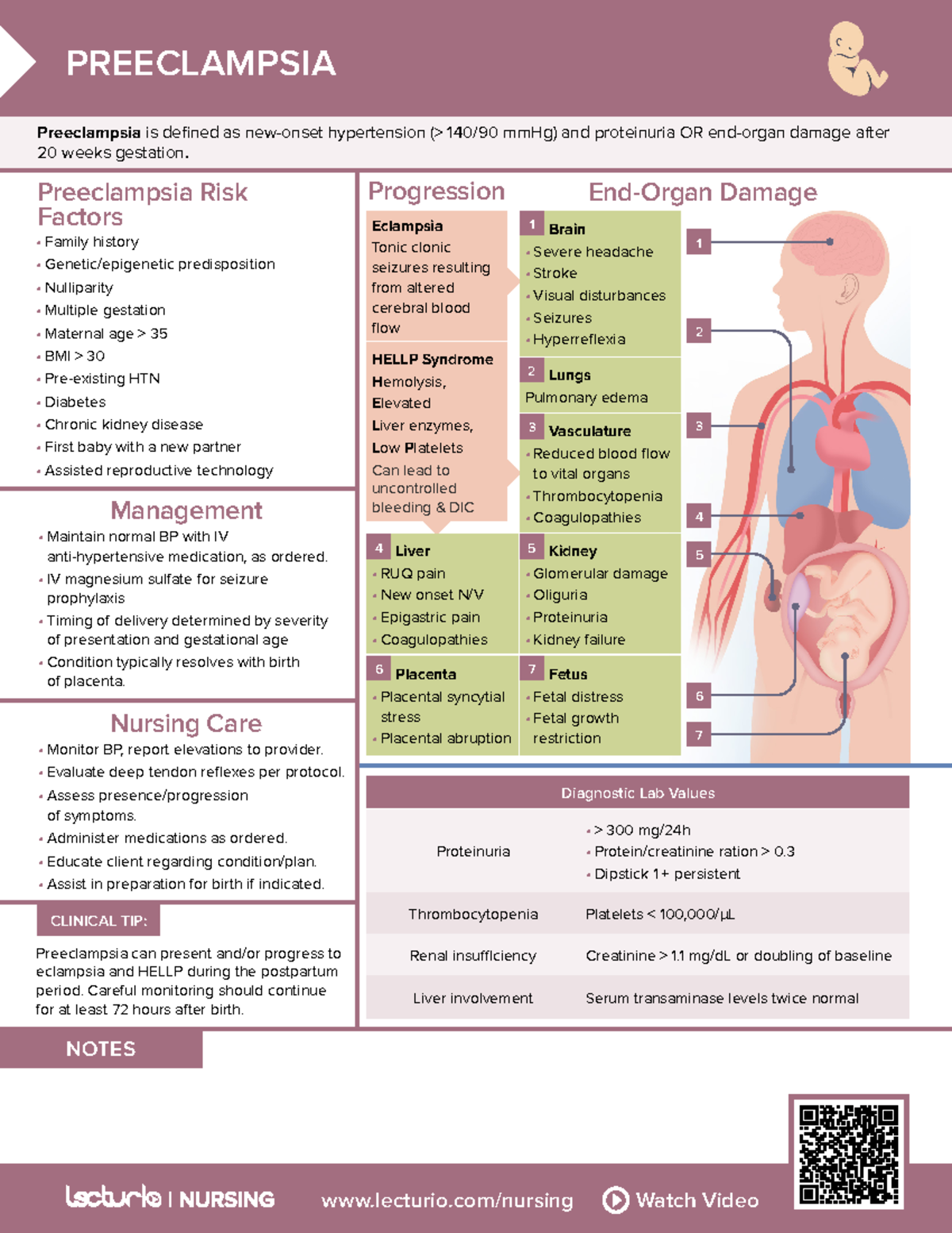 Nursing CS Pre-Eclampsia 03 - lecturio/nursing Watch Video NOTES ...