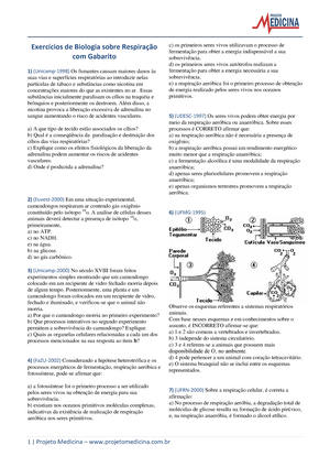 Biologia ENEM Questoes por assunto - GOSTARIA DE BAIXAR TODAS AS LISTAS DO  PROJETO MEDICINA DE UMA - Studocu