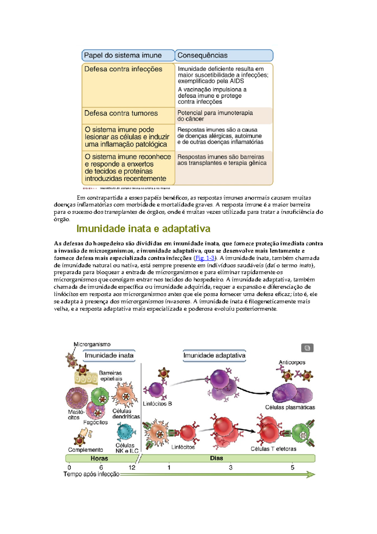 Resumo 1 Imunologia 1 Studocu