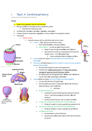 Anatomy of the upper arm summary notes - Anatomy of the upper arm notes ...