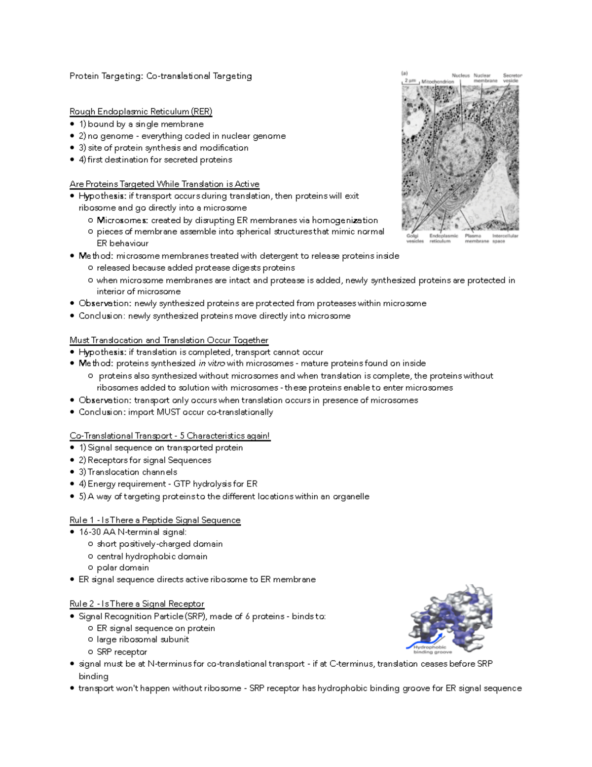 Module 4 Lecture 3 - Protein Targeting: Targeting Rough Endoplasmic ...