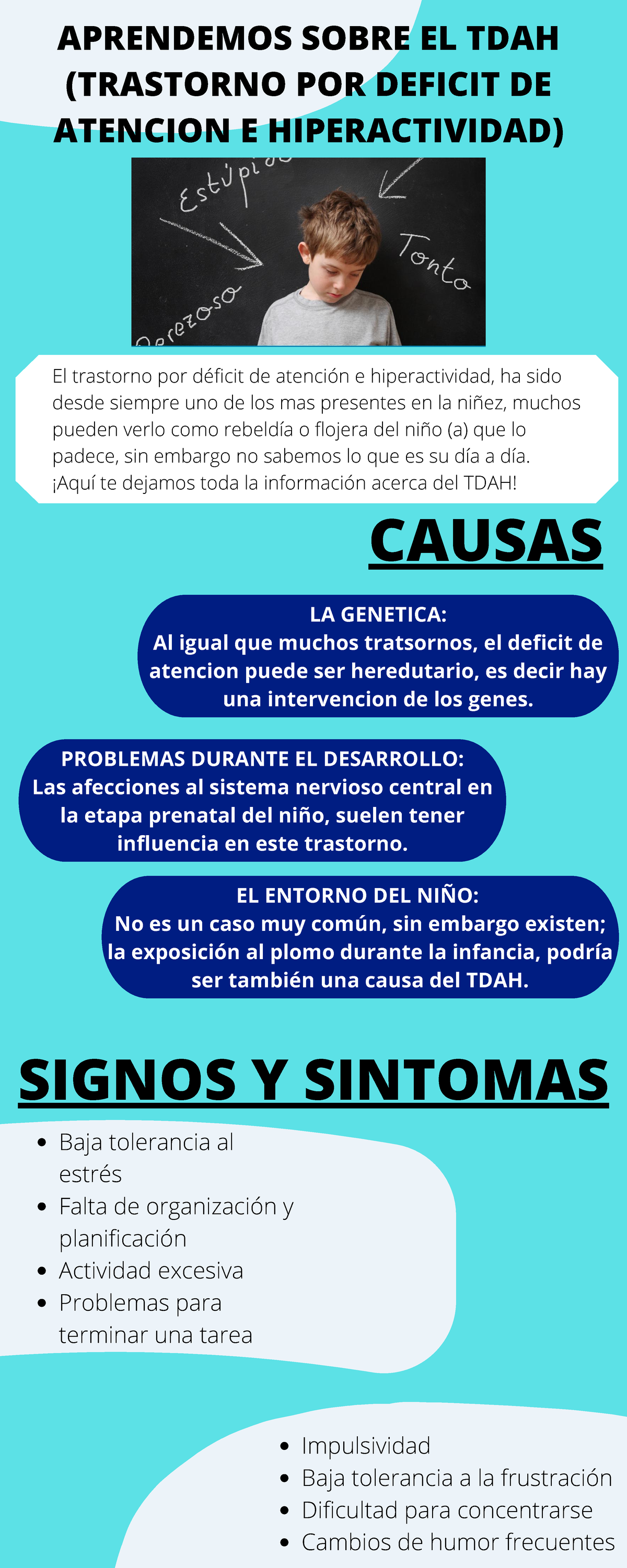 Infografia Tdah Resumen Del Tdah Causas Consecuencias Sintomas Y