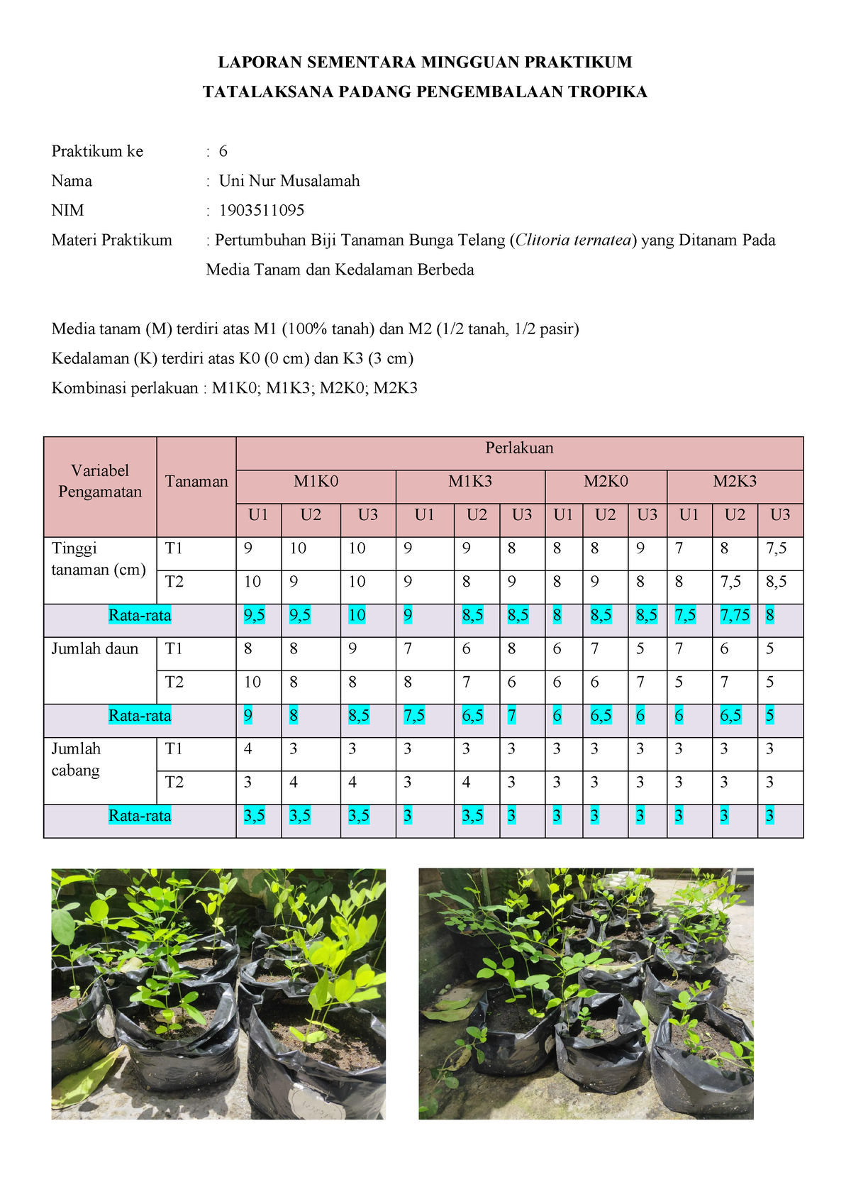 1903511095 Uni Nur Musalamah Kelas B Laporan Praktikum Sementara Minggu ...